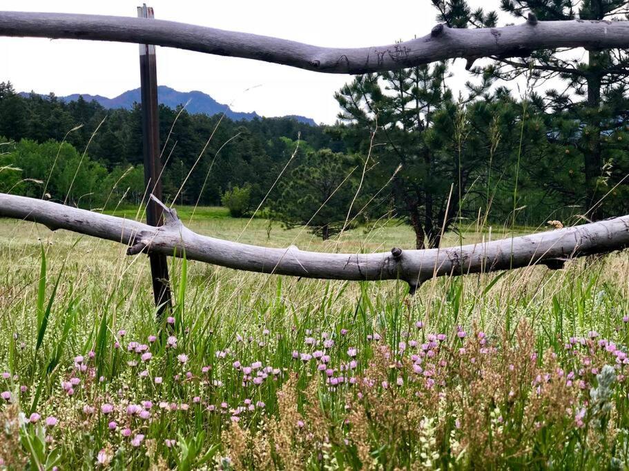 Boulder Best City And Nature With Lake And Trails Pets Ok Buitenkant foto